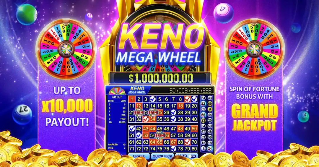 win777 4play bet cassino Android