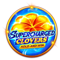 win777 pu bet cassino H5